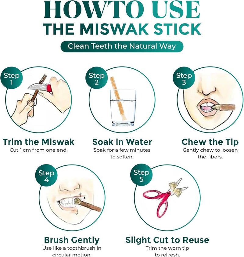 Miswak Set | Natural Siwak Kit with 5 Organic Sticks, Wooden & Plastic Holder, Miswak Cutter | Traditional Oral Care | Eco-Friendly Travel Pack | Sunnah Inspired Dental Kit - Image 4
