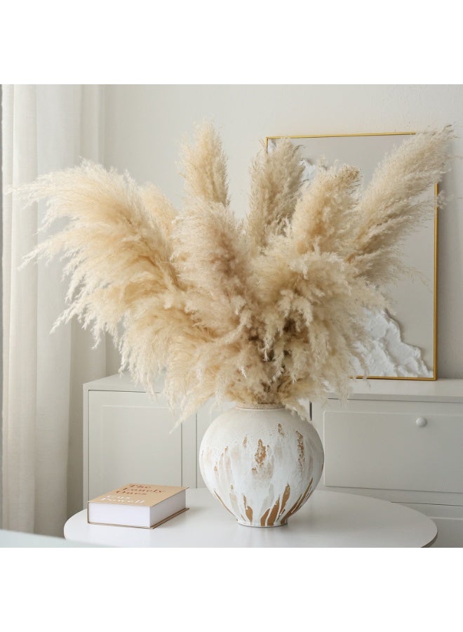 ميراج بوتانيكس طبيعي بامباس العشب ديكور طويل 120 سم 5 جذوع القصب العشب ، بامباس العشب طويل بامباس العشب للمكتب المنزلي Weddingm مزرعة بوهو ديكور - Image 1