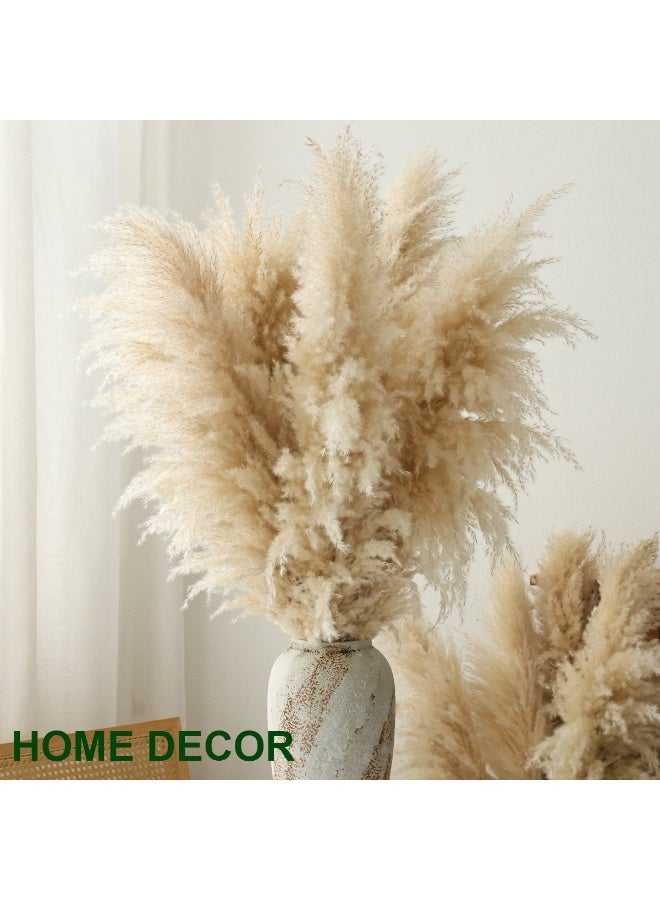 ميراج بوتانيكس طبيعي بامباس العشب ديكور طويل 120 سم 5 جذوع القصب العشب ، بامباس العشب طويل بامباس العشب للمكتب المنزلي Weddingm مزرعة بوهو ديكور - Image 3