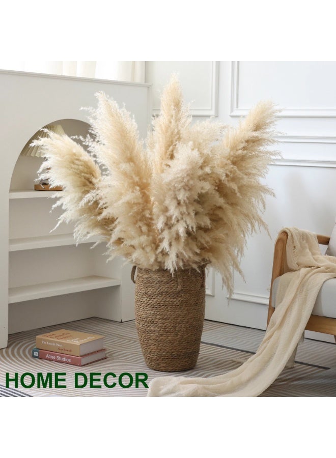 ميراج بوتانيكس طبيعي بامباس العشب ديكور طويل 120 سم 5 جذوع القصب العشب ، بامباس العشب طويل بامباس العشب للمكتب المنزلي Weddingm مزرعة بوهو ديكور - Image 2