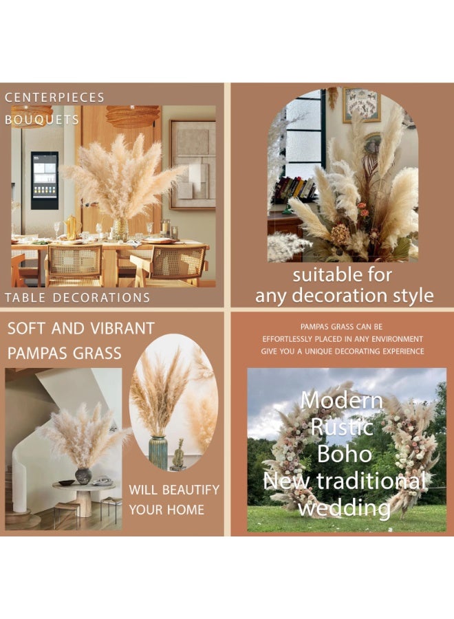 ميراج بوتانيكس طبيعي بامباس العشب ديكور طويل 120 سم 5 جذوع القصب العشب ، بامباس العشب طويل بامباس العشب للمكتب المنزلي Weddingm مزرعة بوهو ديكور - Image 5
