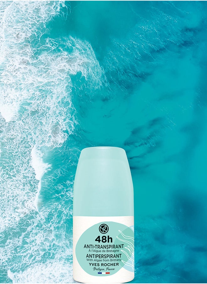 Yves Rocher مزيل العرق بالطحالب لمدة 48 ساعة  - Image 4