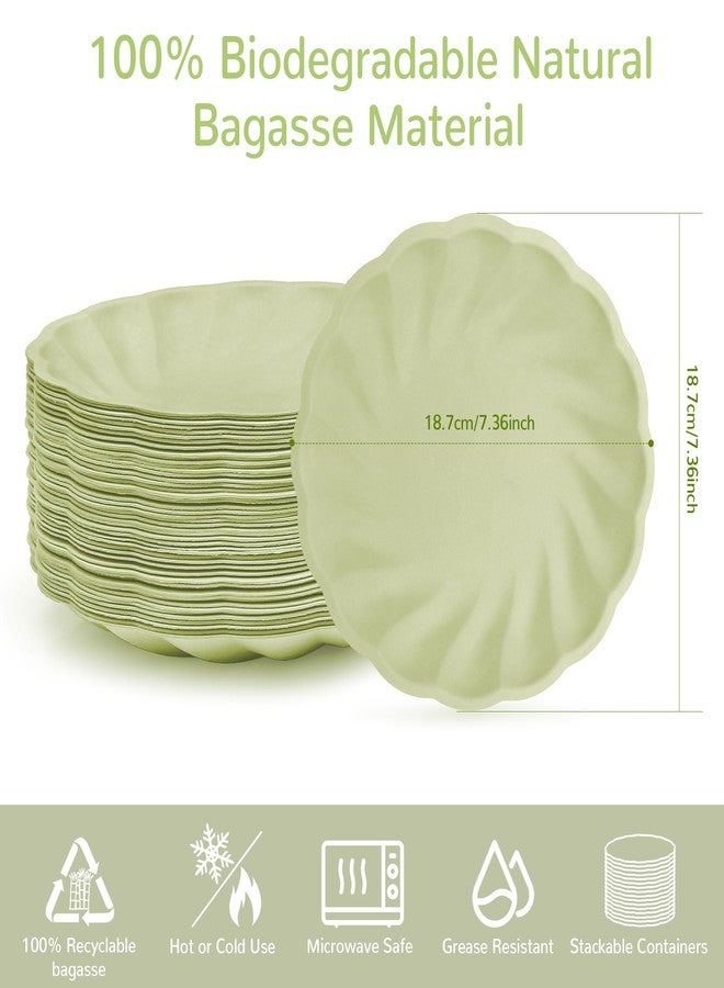 BangShou 7" Scalloped Compostable Plates (50 Pack) Disposable Plates Light Green for Outdoor Parties, Picnics & Events - Image 2