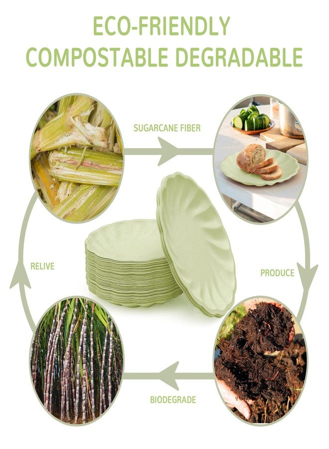 BangShou 7" Scalloped Compostable Plates (50 Pack) Disposable Plates Light Green for Outdoor Parties, Picnics & Events - Image 3