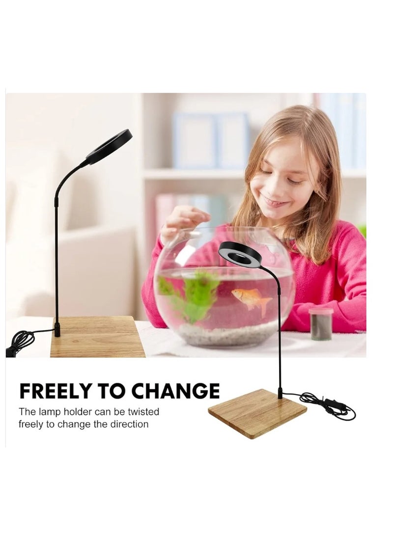 A beautiful Wooden Base with LED Aquarium Light, Large - Image 1