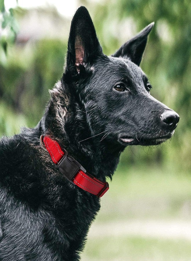 PawCloud Reflective Padded Dog Collar - Medium, Red - Image 5