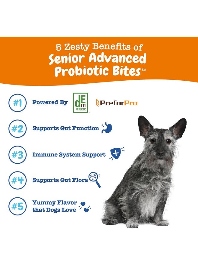 Zesty Paws Probiotics For Dogs  Digestive Enzymes For Gut Flora, Digestive Health, Diarrhea & Bowel Support  Clinically Studied De111  Dog Supplement Soft Chew For Pet Immune System  Adv, 90Ct  - Image 3