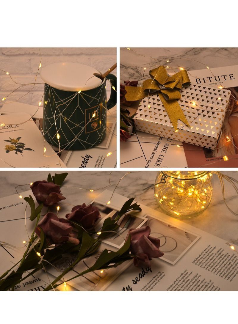 NIBEMINENT 12 LED Battery Powered String Lights - Image 5