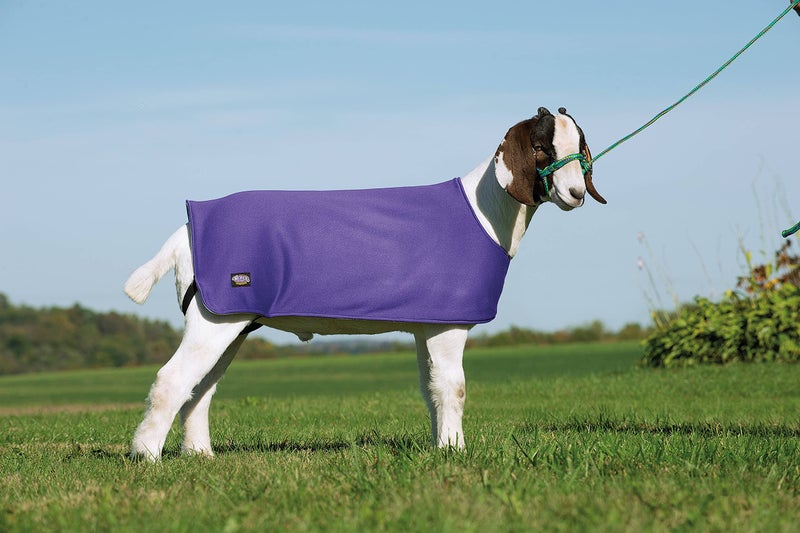 Weaver Leather Sheep and Goat Underblanket Extra Small/Small Purple - Image 1