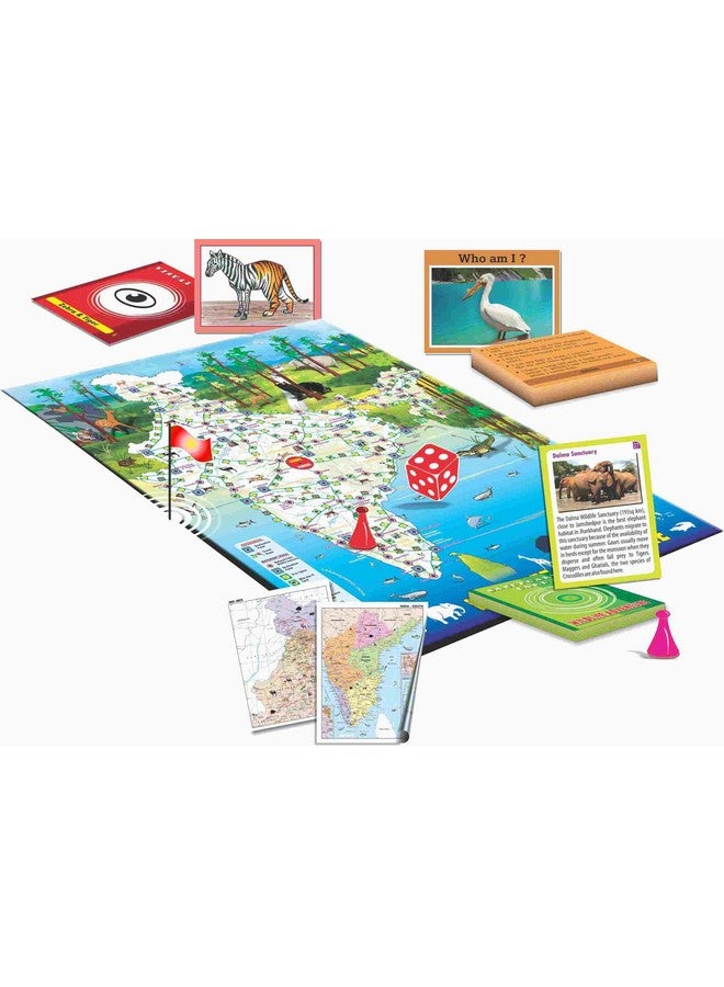 Creative's Indian Wildlife Adventure | Discover The Exotic Wildlife of India Recognizing Animals from Visual Cards | Educational Board Games | Children Development Cards Game for Kids Ages 8 & Up - Image 2