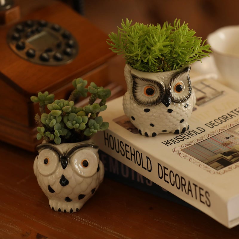 SE SUN-E Owl Ceramic Planters Mini Plant Pots 3Inch With Drainage Pen Pencil Holder Cute Decor Flower Planters Gift Packaging Herb Cactus Plant Pots Air Plant Kitchen Window Gardening Starter Set Teacher Gifts - Image 5