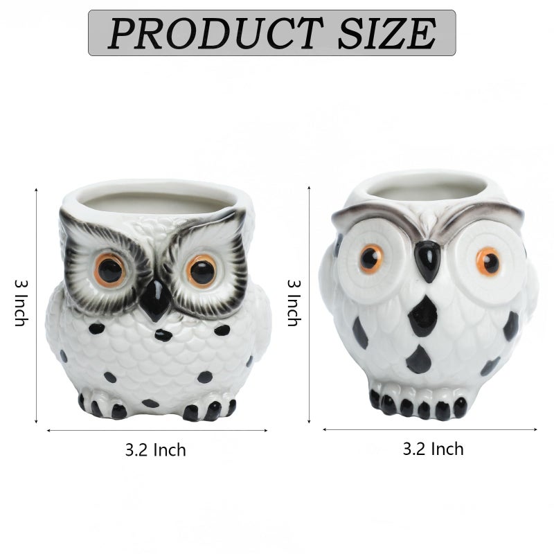 SE SUN-E Owl Ceramic Planters Mini Plant Pots 3Inch With Drainage Pen Pencil Holder Cute Decor Flower Planters Gift Packaging Herb Cactus Plant Pots Air Plant Kitchen Window Gardening Starter Set Teacher Gifts - Image 4