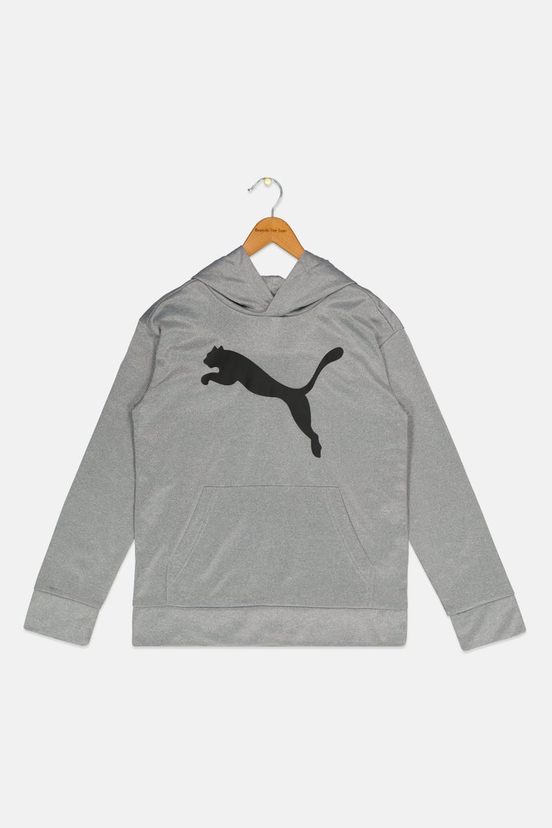 PUMA Kids Boy Sportswear Fit Long Sleeve Hoodies, Grey  - Image 1