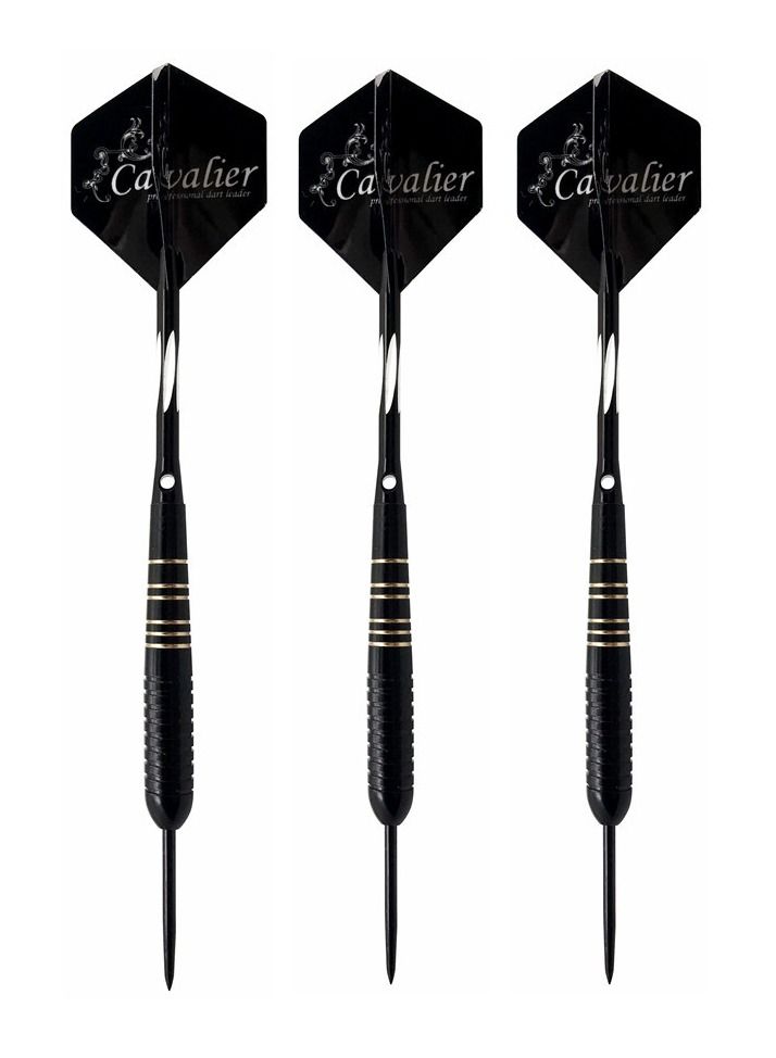 NIBEMINENT مجموعة 3 قطع من نصائح ريشة السهام المصنوعة من سبائك الألمنيوم والبلاستيك 23 جرام مع صندوق 14.5*4.8*2 سم - Image 1