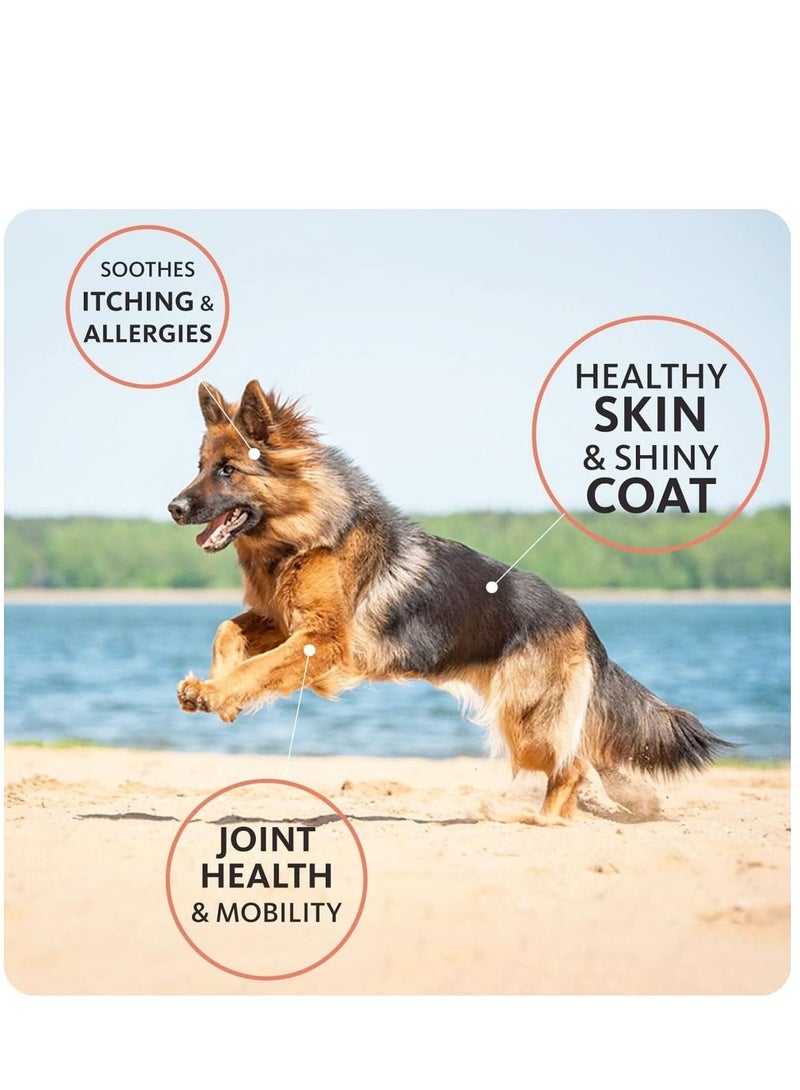 Brilliant Salmon Oil for Dogs and Cats 1000Ml - Image 4