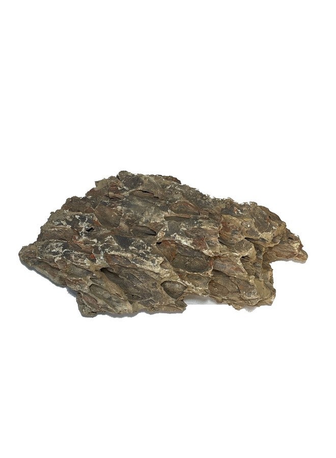 صخور تنسيق أحواض مائية فاخرة لأحواض المياه العذبة والمزروعة (حجر التنين - 9 أرطال) - Image 2