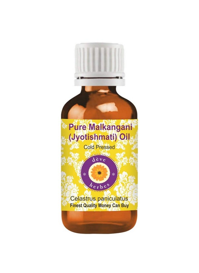 Deve Herbes - Pure Malkangani (Malkangani/Jyotishmati) Oil (Celastrus Paniculatus) Natural Therapeutic Grade Cold Pressed 50Ml - Image 1