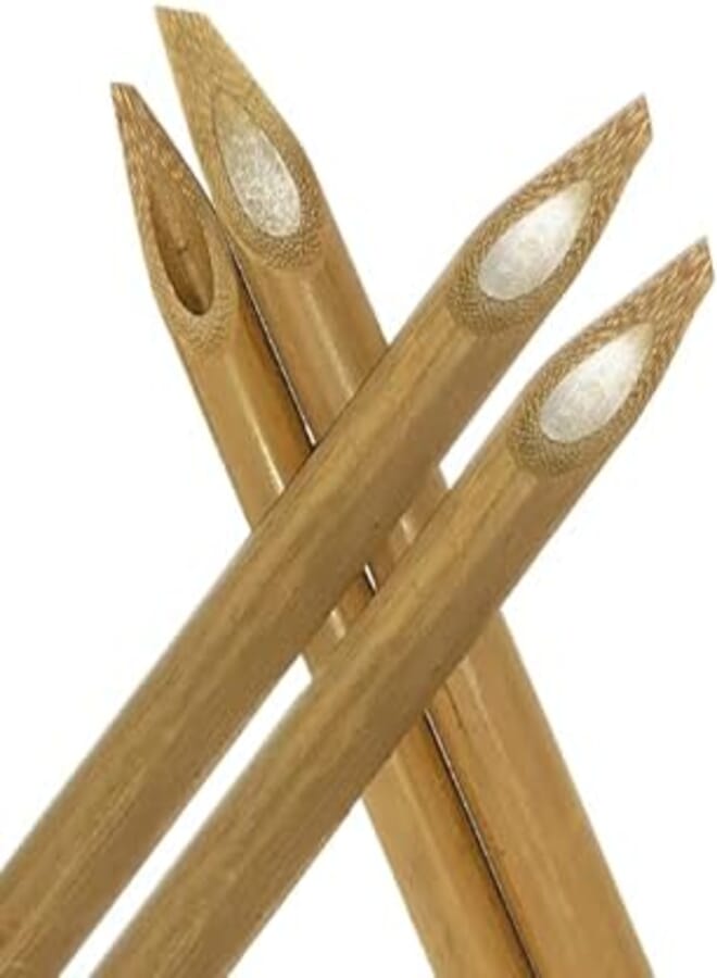 MINTU Qalams/Pens, Bamboo English Arabic Reed Calligraphy Pen (Size -16cm Length, Set pack of Four)