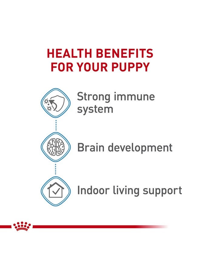 رويال كانين طعام جاف للكلاب الصغيرة من رويال كانين سايز هيلث نيوتريشن، كيس 2.5 رطل - Image 3