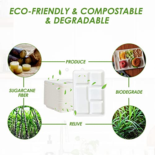 Vplus 100% Compostable 5 Compartment Paper Plates, 100 Pack, 12.5 x 8.6 inch Disposable School Lunch Trays, Eco-Friendly Bagasse Plates for Buffet, and Party - Image 5