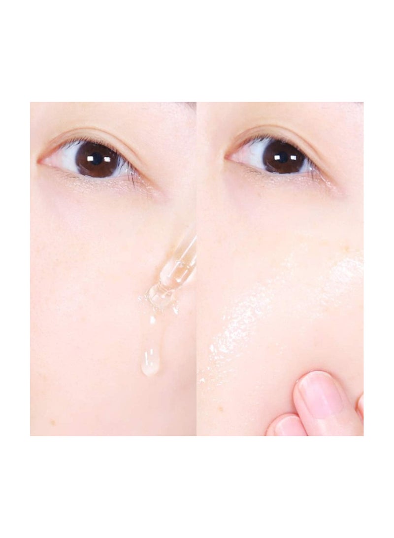 9WISHES [9wishes] Pine Ampule Serum 0.85 Fl. Oz, Pore Reducer & Sebum Control & Dead skin cells - Repair & Purify Skin - Soothing Redness Irritation - Pore Refining Serum Soothing Moisturizing Hydration - Image 2