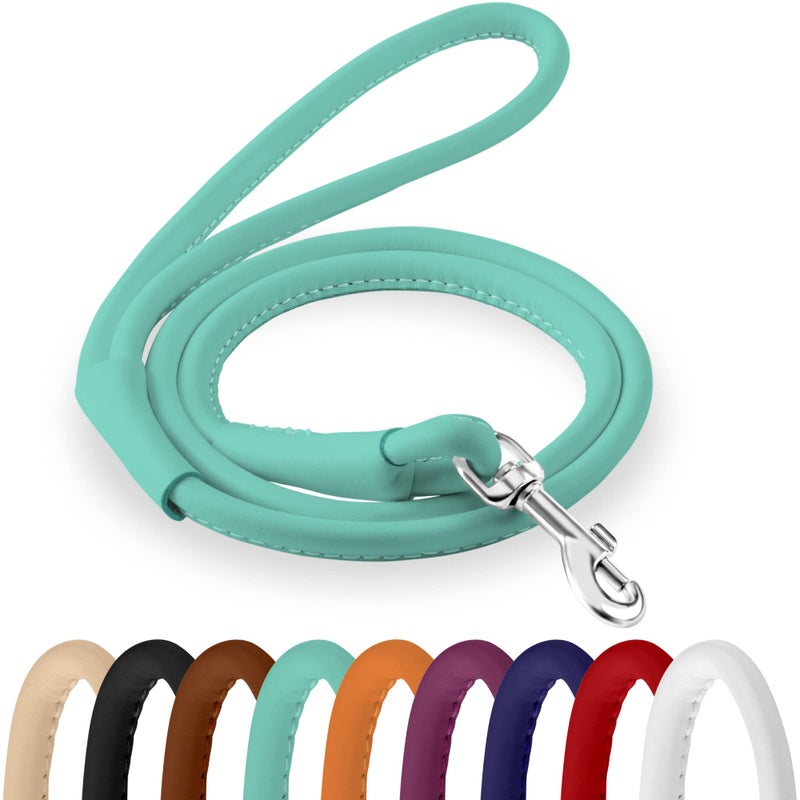 CollarDirect Rolled Leather Dog Leash 4ft, Soft Padded Training Leather Dog Lead 6ft, Puppy Leash Rolled Leather Small Medium Large Black Blue Red Orange Green Pink White (Orange, Size XS 6ft) - Image 1