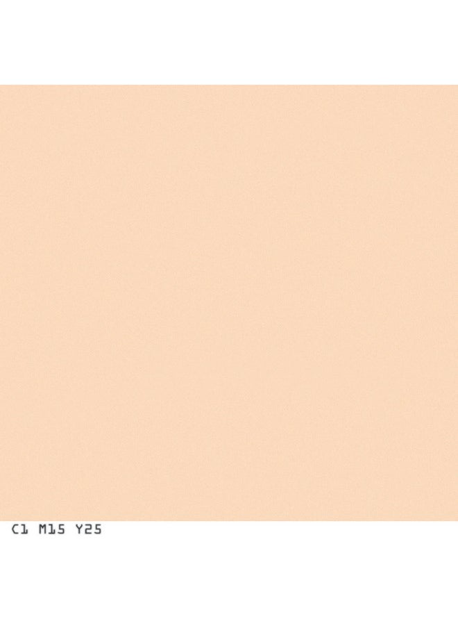 CoverGirl Covergirl Smoothers Pressed Powder, Translucent Light, 0.32 Oz, Pack of 2 (Packaging May Vary)  - Image 4