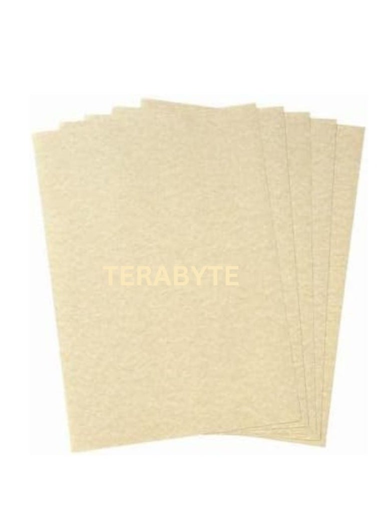 Terabyte - Letter head Textured paper (100 Sheets A4) - Image 1