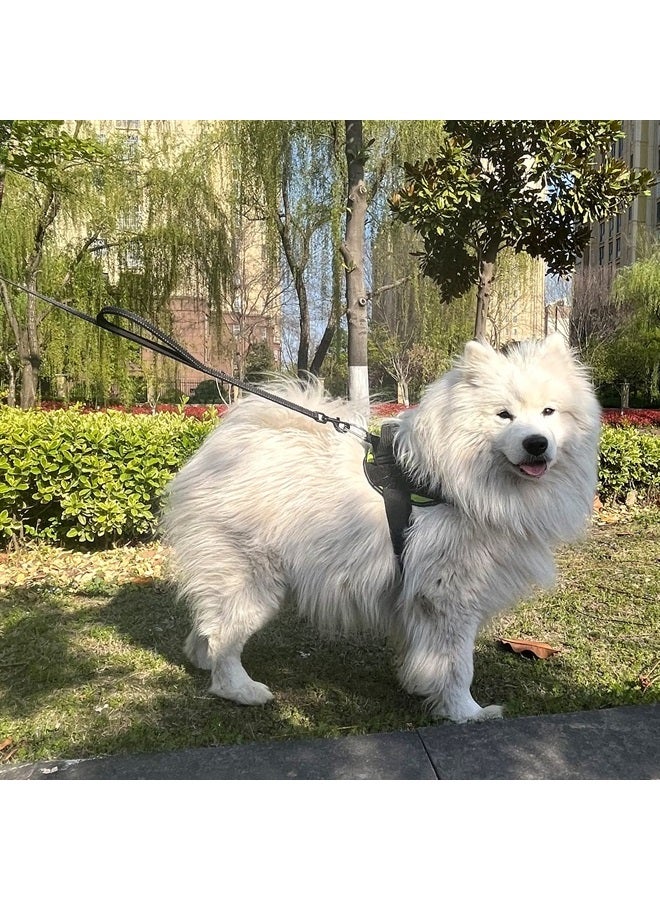 Joytale Double Handle Dog Leash, Double-Sided Reflective Dog Leashes for Night Safety, Heavy Duty Leash for Large and Extra Large and Medium Breed Dogs Outside Walking,5FT,Black - Image 4