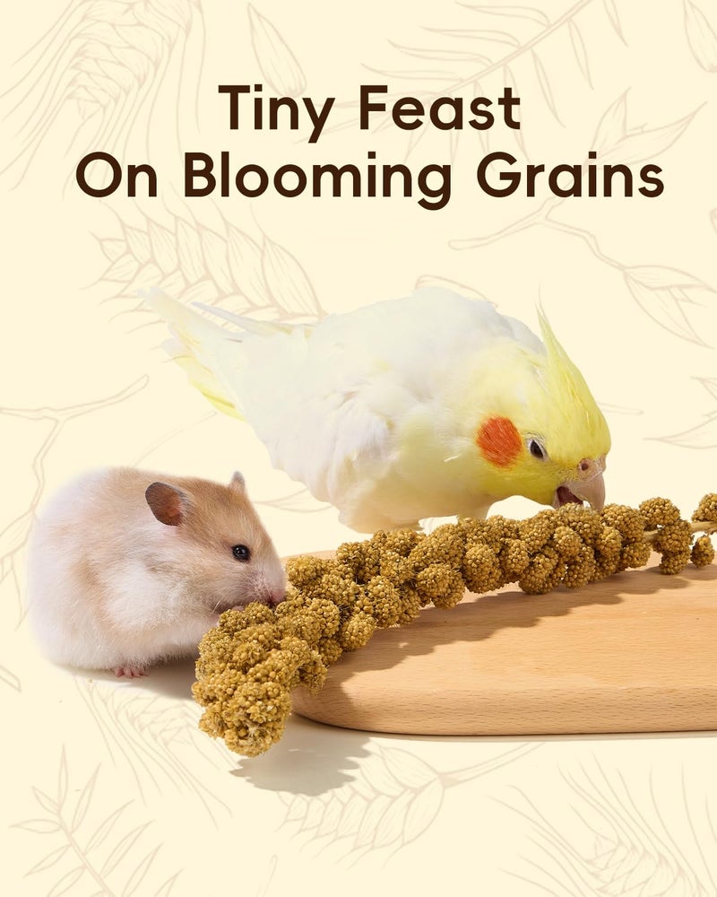 BUCATSTATE Natural Hamster Bedding - Flowers & Herbs & Sprays for Cage Habitat Decor - Treat Cereal Grain for Dwarf Syrian Gerbils, Mice, Rat, Forage, Enrichment (60PCS) - Image 5