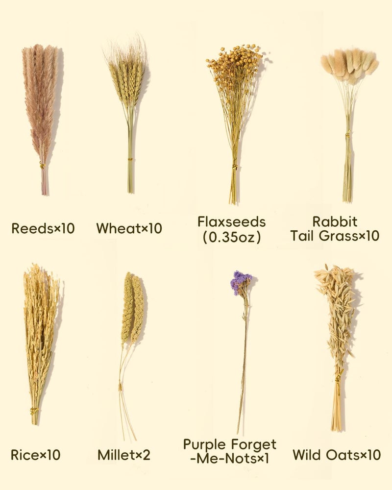 BUCATSTATE Natural Hamster Bedding - Flowers & Herbs & Sprays for Cage Habitat Decor - Treat Cereal Grain for Dwarf Syrian Gerbils, Mice, Rat, Forage, Enrichment (60PCS) - Image 4