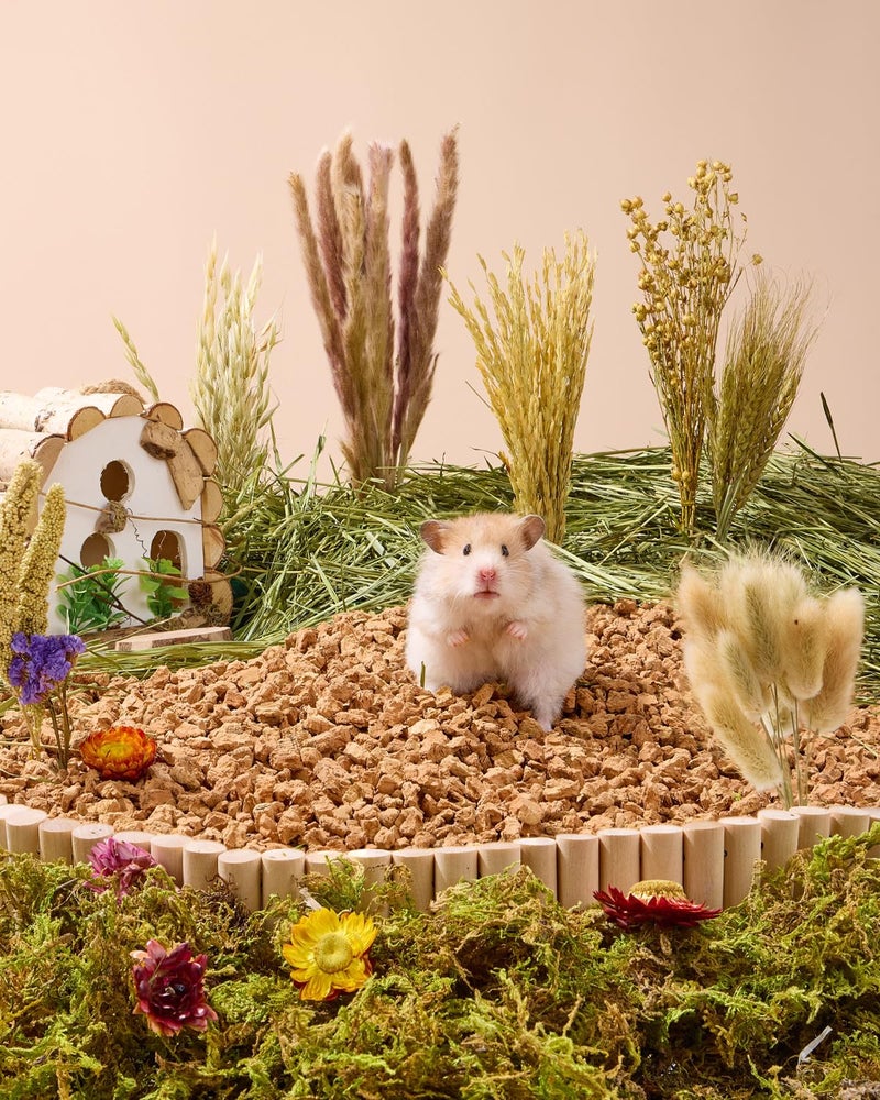 BUCATSTATE Natural Hamster Bedding - Flowers & Herbs & Sprays for Cage Habitat Decor - Treat Cereal Grain for Dwarf Syrian Gerbils, Mice, Rat, Forage, Enrichment (60PCS) - Image 2