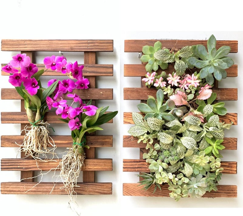 ShopLaLa Wall Planter – 2 Pack Hanging Planter for Indoor Plants, Air Plant Succulent Holder, Outdoor Vertical Garden, Wooden Orchid Planter for Wall Decor, Room Decor for Teens - Image 1