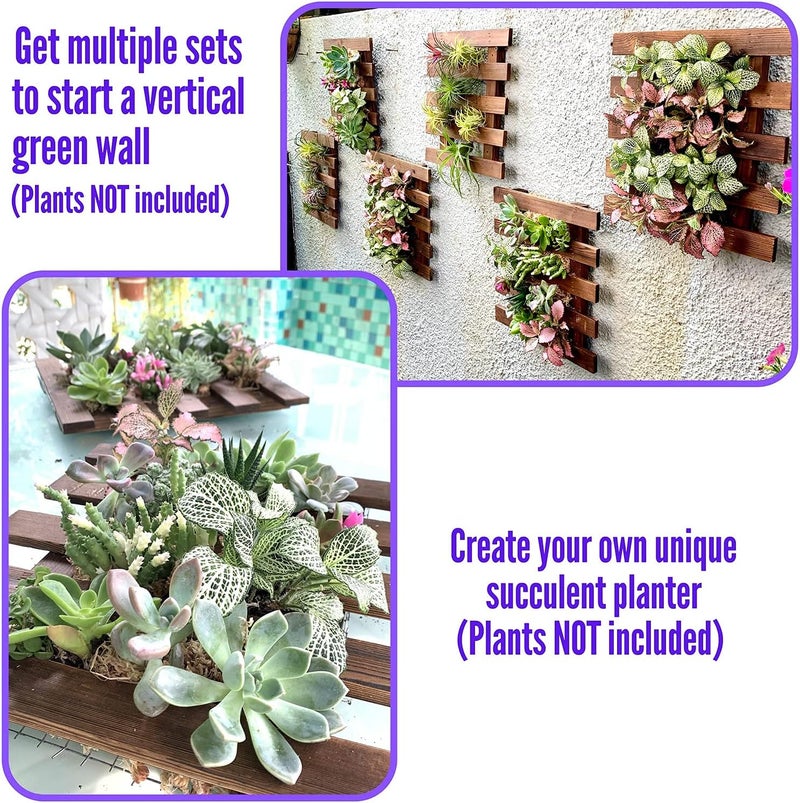 ShopLaLa Wall Planter – 2 Pack Hanging Planter for Indoor Plants, Air Plant Succulent Holder, Outdoor Vertical Garden, Wooden Orchid Planter for Wall Decor, Room Decor for Teens - Image 5