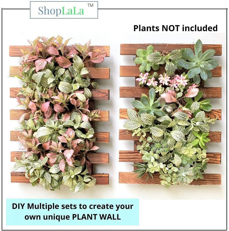 ShopLaLa Wall Planter – 2 Pack Hanging Planter for Indoor Plants, Air Plant Succulent Holder, Outdoor Vertical Garden, Wooden Orchid Planter for Wall Decor, Room Decor for Teens - Image 4