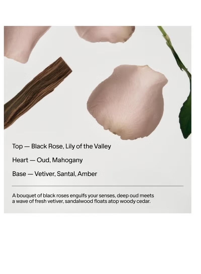 Salt & Stone Extra Strength Natural Deodorant for Women & Men | Aluminum Free with Seaweed Extracts, Shea Butter & Probiotics | Free From Parabens, Sulfates & Phthalates (2.6 oz) - Image 5