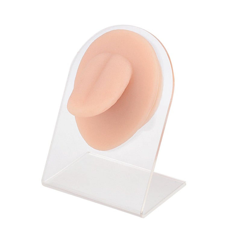 SimCoach Piercing Tongue Model with Acrylic Stand Silicone Tongue Mold for Piercing Ring Display Piercing Practice Body Parts