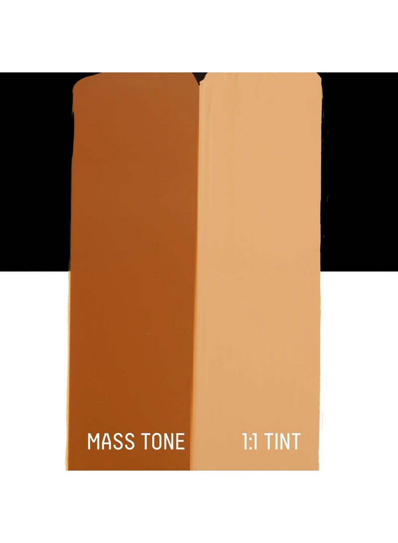 Liquitex أنبوب طلاء أكريليك أساسي 118 مل محتوى سينا الخام - Image 3