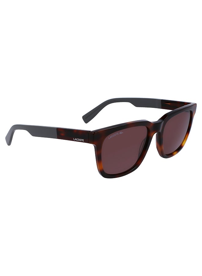 LACOSTE نظارة شمسية مستطيلة للجنسين - L996S-214-5419 - مقاس العدسة: 54 ملم - Image 1