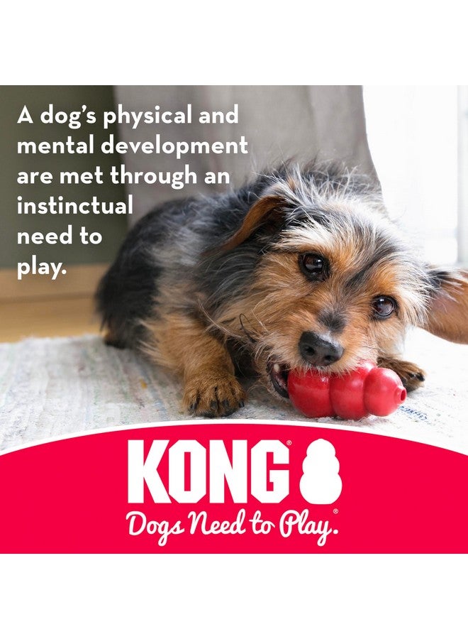 كونج عظمة جرو جيدة مع حبل - لعبة مضغ للكلاب للجراء - لعبة عظمة مطاطية طبيعية مع حبل قطني - لعبة تنظيف أسنان للجراء النامية - للجراء Xs - أزرق - Image 5