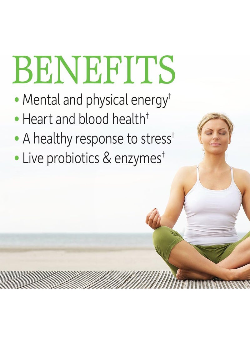 Raw B Complex Vitamin Code 120 Vegan Capsules High Potency Vitamins For Energy And Metabolism With B2 Riboflavin