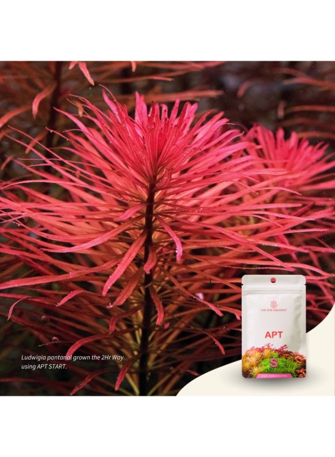 Apt The 2Hr Aquarist APT Start | Starter Bacteria for Planted Aquariums - Image 3
