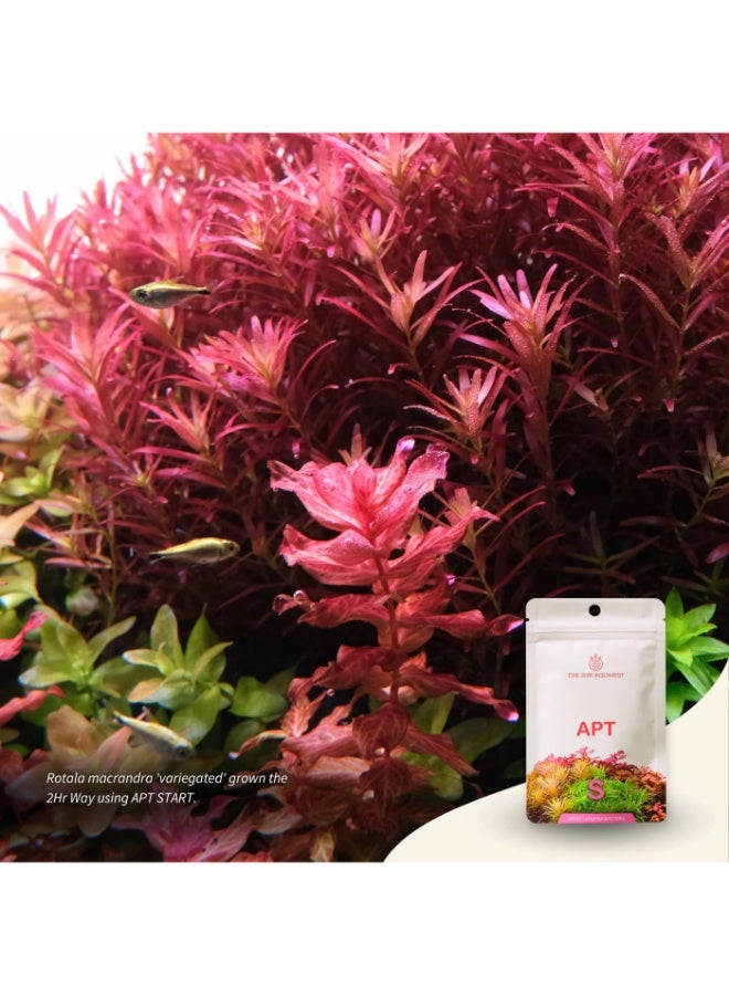 Apt The 2Hr Aquarist APT Start | Starter Bacteria for Planted Aquariums - Image 5