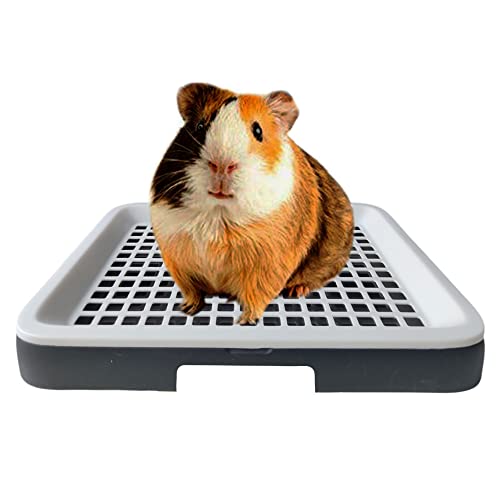 Oncpcare Guinea Pig Litter Tray Pan with Grate for Cage - Small Animal Potty Trainer - Rattie, Chinchilla, and Pet Litter Box - Easy-Clean, Space-Saving Design - 9.8x7.6x1.18 in - Image 1
