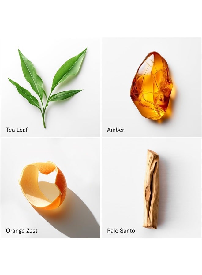 AromaTech White Tea Aroma Essential Oil Blend, Pure Aromatherapy Diffuser Oil with Palo Santos, Orange Zest, Tea Leaf & Amber for Diffuser & Humidifier - 0.3 fl oz, 10 mL - Image 2