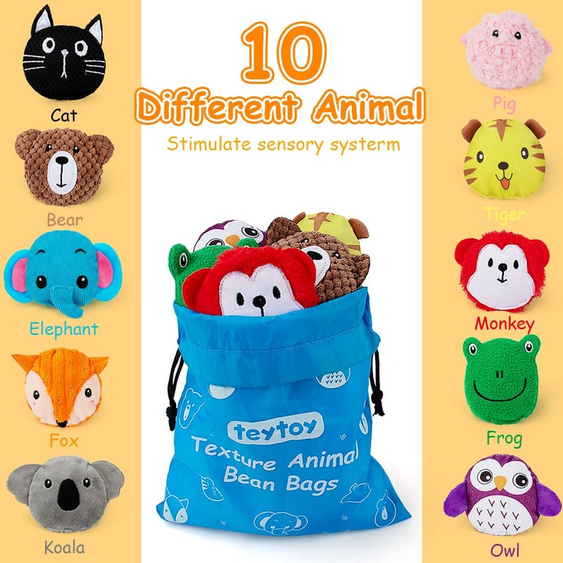 teytoy Sensory Bean Bag for Kids 10 Pack Texture Sensory Beanbags Sensory Toys for Autism Animal Sensory Fine Motor Toys with Storage Bag for Boys and Girls - Image 2