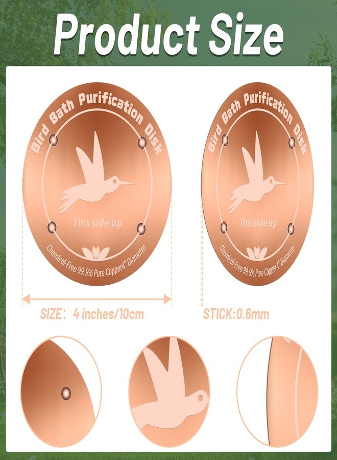 CTTZCKJ 4'' Pure Copper Bird Bath Purification Disk,Set of 2,0.6mm thick,Reinforced Copper Purification Cleaner with Four-Point Support,All-Season Safe Clean Water,Universal Fit for Outdoor Birdbath&Bowl - Image 2