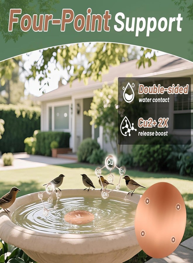 CTTZCKJ 4'' Pure Copper Bird Bath Purification Disk,Set of 2,0.6mm thick,Reinforced Copper Purification Cleaner with Four-Point Support,All-Season Safe Clean Water,Universal Fit for Outdoor Birdbath&Bowl - Image 5