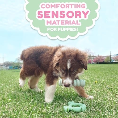 Nylabone Sensory Material Soothing Puppy Chew Toy Stick, Toys for Teething Puppies, Peanut Butter Flavor, Small - Up to 25 lbs, 1 Count - Image 5