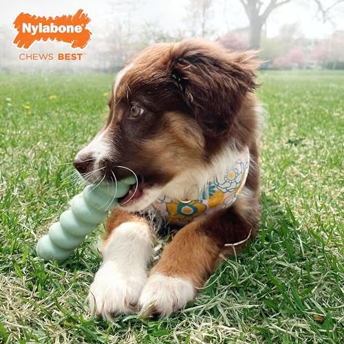 Nylabone Sensory Material Soothing Puppy Chew Toy Stick, Toys for Teething Puppies, Peanut Butter Flavor, Small - Up to 25 lbs, 1 Count - Image 2